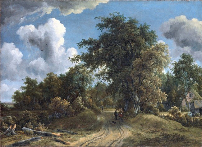 A road in the woods
