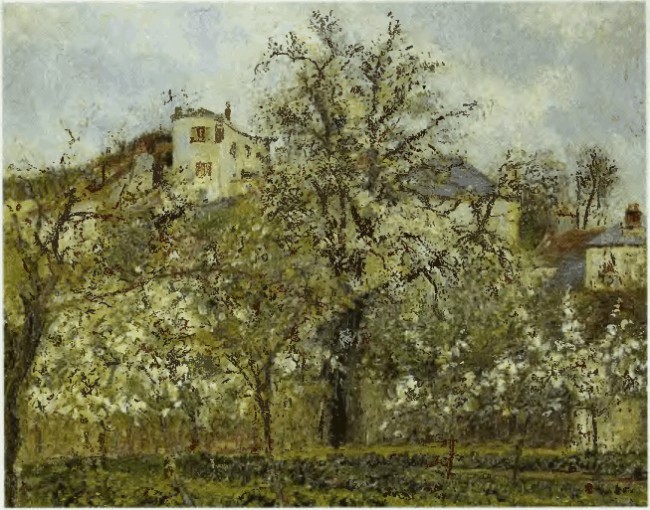 An orchard in bloom. Spring