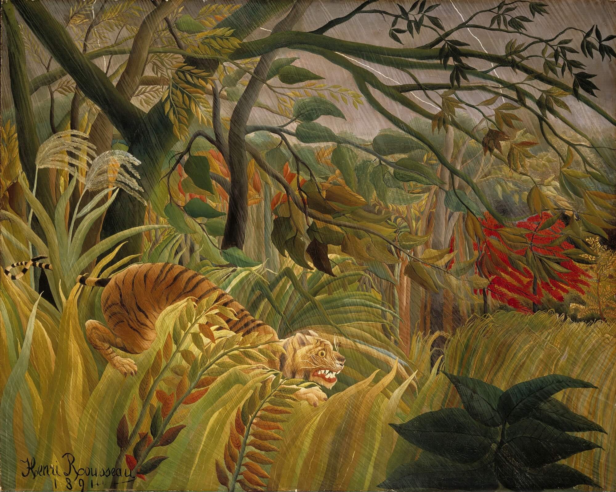 Attack in the Jungle